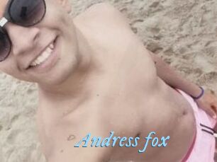 Andress_fox