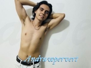 Andruwpervert