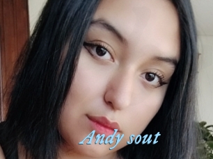 Andy_sout