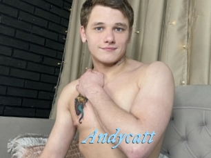 Andycatt