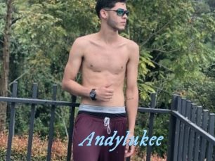 Andylukee