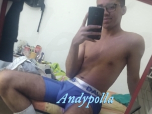 Andypolla