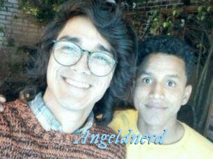 Angeldnerd