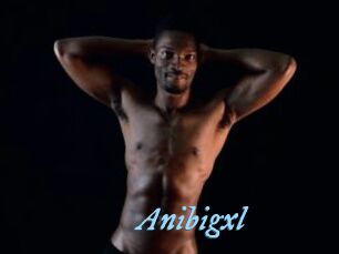 Anibigxl
