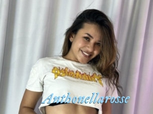 Anthonellarosse