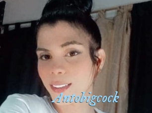 Antobigcock