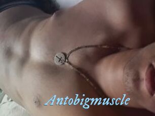 Antobigmuscle