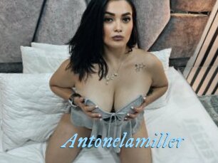 Antonelamiller