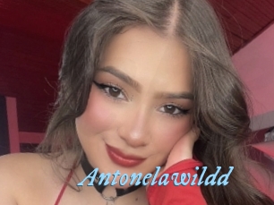 Antonelawildd