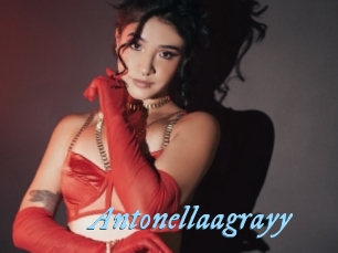 Antonellaagrayy
