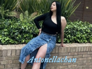 Antonellachan
