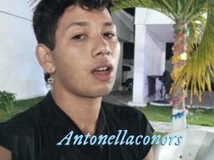 Antonellaconors