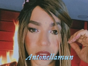 Antonellamun