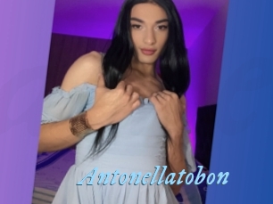 antonellatobon DeriheruI