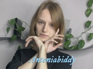 Antoniabiddy