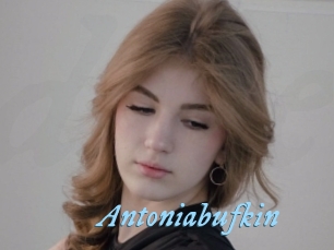 Antoniabufkin