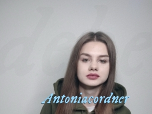 Antoniacordner