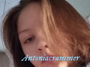 Antoniacrammer