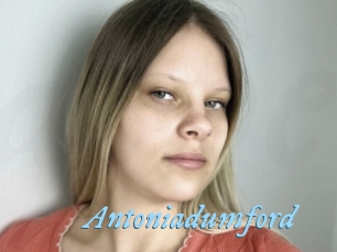 Antoniadumford