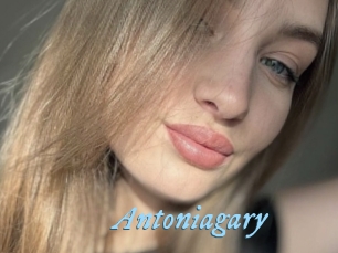 Antoniagary