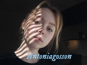 Antoniagosson