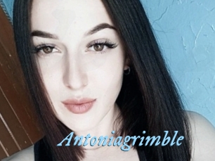 Antoniagrimble