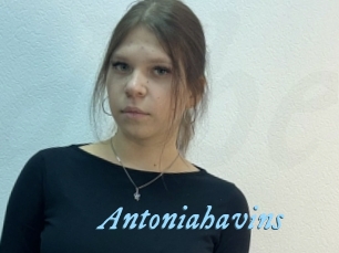 Antoniahavins