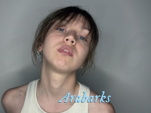 Arabarks