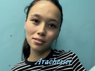 Arachesser