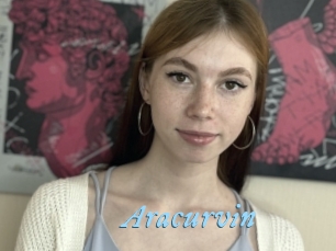 Aracurvin