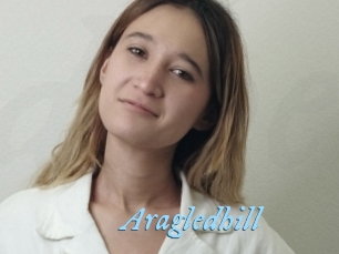 Aragledhill