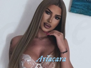 Ariacara