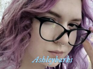 Ashleybarks