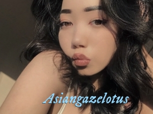 Asiangazelotus
