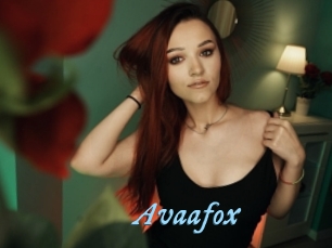 Avaafox