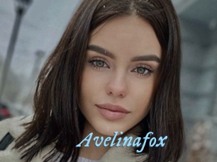 Avelinafox