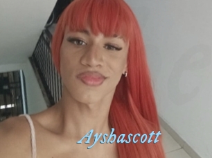 Ayshascott