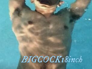 BIGCOCK18inch