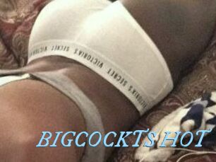 BIGCOCKTS_HOT