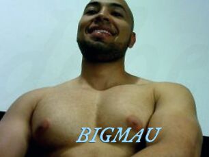 BIGMAU
