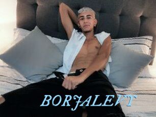 BORJALEVY
