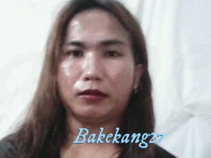Bakekang27