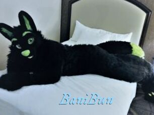 BaniBun