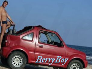 BerryBoy
