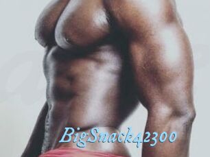 BigSnack42300