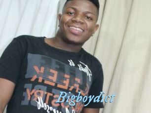 Bigboydict