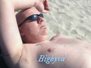 Bigbyrd