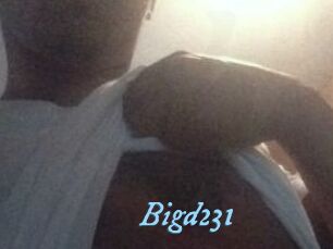 Bigd231