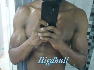 Bigdbull