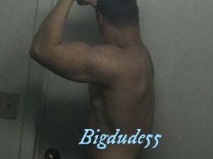 Bigdude55